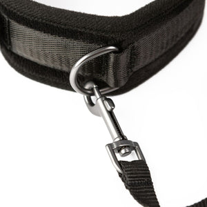 SEI MIO Take the Lead Padded Neck Collar and Leash Buy in Singapore LoveisLove U4Ria 