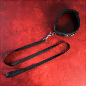 SEI MIO Take the Lead Padded Neck Collar and Leash Buy in Singapore LoveisLove U4Ria 