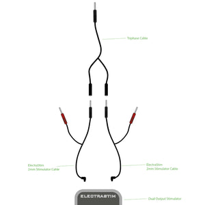 ElectraStim Standard Adapter to 3.5mm Jack EM 2209 Triphase Combiner Cable EM2207 Adapter Kit 3.5mm to ElectraStim Standard socket EM2208 Buy in Singapore LoveisLove U4Ria