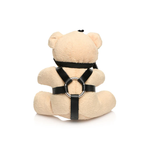 Master Series Teddy Bear Keychain BDSM or Gagged or Rope or Hooded Buy in Singapore LoveisLove U4Ria