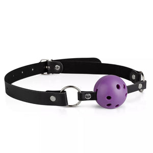 Secret Pleasure Chest Purple Apprentice Bondage Kit Buy in Singapore LoveisLove U4Ria 