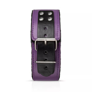 Secret Pleasure Chest Purple Apprentice Bondage Kit Buy in Singapore LoveisLove U4Ria 