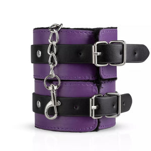 Secret Pleasure Chest Purple Apprentice Bondage Kit Buy in Singapore LoveisLove U4Ria 