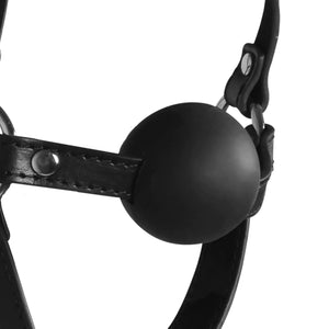 Shots Ouch! Xtreme Blindfolded Head Harness with Solid Ball Gag Black Buy in Singapore LoveisLove U4Ria 