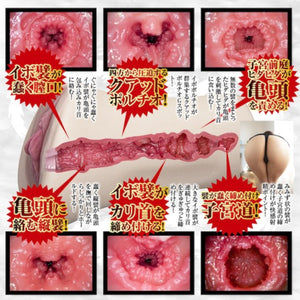 Japan NPG Tsubasa Hachino Great Ecstasy Real Onahole 500 G Buy in Singapore LoveisLove U4Ria 